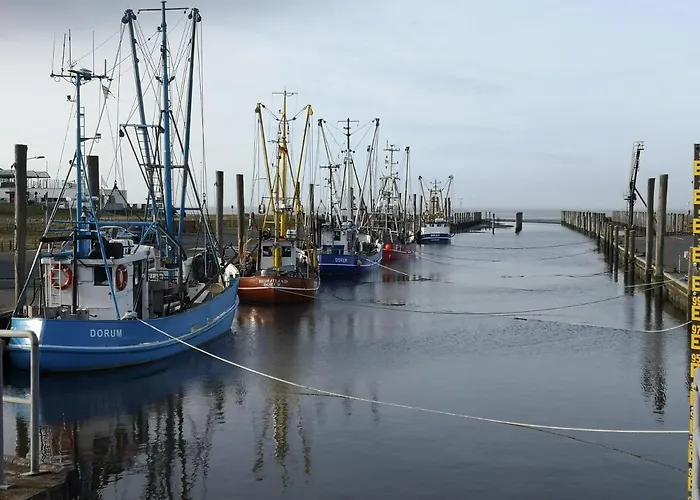 Dorumer Piratennest * ドルム・ノイフェルト